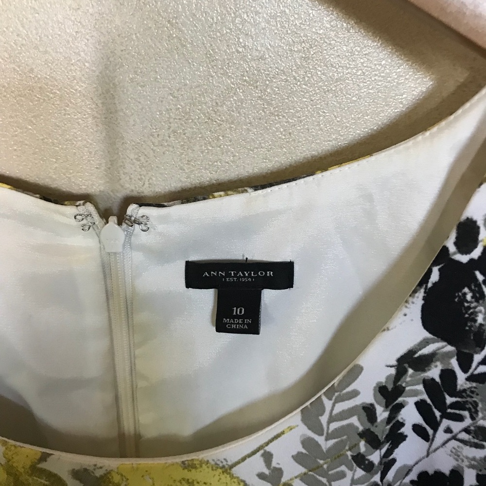 Ann Taylor dress, lined, back zip, back slit